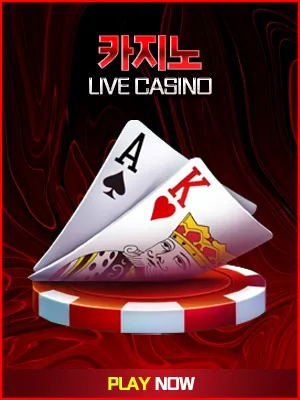 라이브 카지노